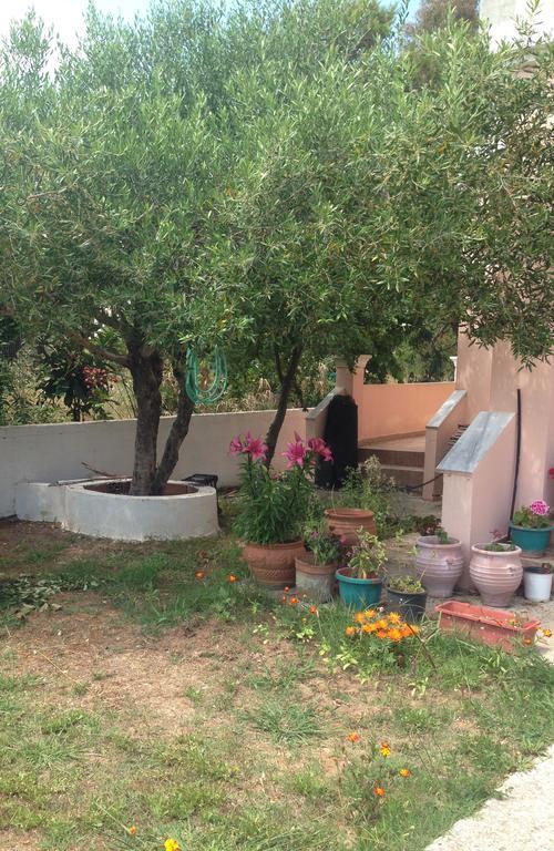Villa Zenap Agios Georgios  Dış mekan fotoğraf